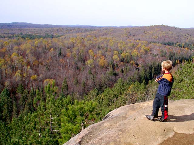 Algonquin Lookout Algonquin Lookout